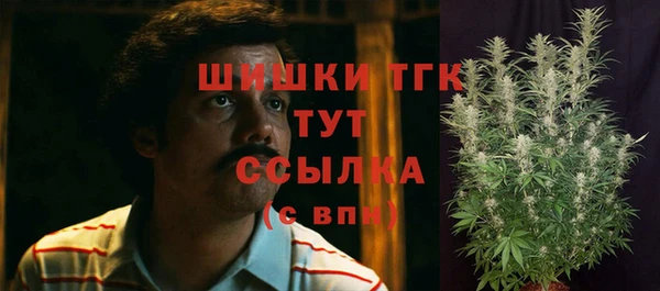 PSILOCYBIN Михайлов