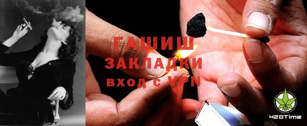 PSILOCYBIN Михайлов