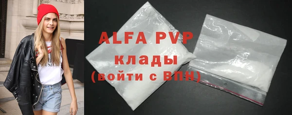 PSILOCYBIN Михайлов