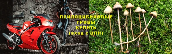 бошки Михайловка