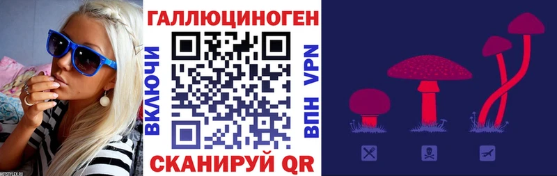 Купить где Жигулёвск Псилоцибиновые грибы GOLDEN TEACHER